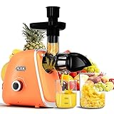 Entsafter Slow Juicer, Fezen Entsafter Gemüse Und Obst Testsieger Mit 2...