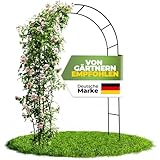 STAHLMANN ® Rosenbogen [240 x 140 x 37cm ] geeignet für Jede Art von Rankpflanzen -...
