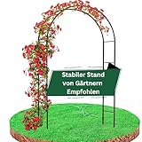 Premium Rosenbogen 240 x 140 x 37 cm – Perfekt für alle Rankpflanzen –...