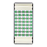 i-flair Tellerlattenrost 90x200 cm, Lattenrahmen Ergo IF56 mit Tellerfedern -...