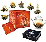 Creano Teeblumen Mix - Geschenkset'ErblühTee' mit Glaskanne & 6 Teekugeln Weißtee...