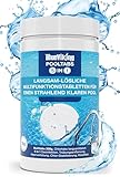 BlueViking Chlortabletten für Pool 5 in 1 - Hochwirksame Multitabs Pool 200g im...
