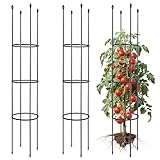ThxToms 2 Stück Garten Rankhilfe aus Metall Kern 160CM mit 30*Pflanzenclips|...