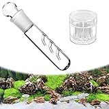 2 Stück Planarienfalle, 3 Loch Klarglas Glas Planaria Trap 8 Löcher Acryl...