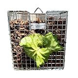 TYUKXJH Pflanzenhänger für Wand, vertikaler hängender Ständer für Orchideen | 304...