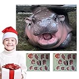 Hobngmuc Tageskalender, ästhetischer Tischkalender 2025, mit 2 Bögen Aufklebern, -Druck,...