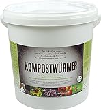 KOMPOSTWÜRMER - 1000 Stück/Eimer - Kompost-Starter Regenwürmer - Eisenia Kompostwurm...