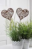 LB H&F 2er Set Gartenstecker Herz Rost Deko Design Stecker Ornament 32 cm Gross...