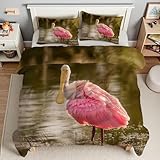 Bettdecke 200x200 Reiher Steppdecke 200x200 Tier 4 Jahreszeiten Bettdecken mit 2...