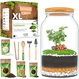 PYEF CRAFTS Flaschengarten Komplettset XL für Ökosystem im Glas - 4L Terrarium...