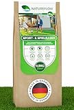 Rasensamen Sport und Spielrasen 0,5kg extra robust - Schnell wachsender Nachsaat...