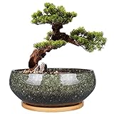 EPFamily Bonsai-Pflanztopf aus Keramik, glasiert, flach, Sukkulenten-Übertopf mit...