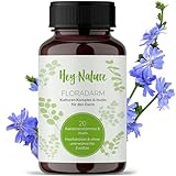 Hey Nature® Probiotika Kapseln Floradarm – 20 Bakterienstämme & Präbiotikum Inulin,...