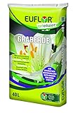 Euflor Graberde 40 L, dunkle Spezialerde zur Grabbepflanzung, feine Struktur zur leichten...