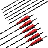 Deweey 12er Pack 31 Zoll Bogenpfeile, Carbon Pfeile für Bogenschießen mit 5'...