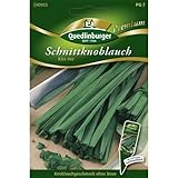 Schnittknoblauch, Kiss me