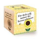 Celebrations Ecocube, Sonnenblume Bio Samen, Holzwürfel Mit Lasergravur «Für Dich Soll...