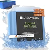 NASSWERK® Algizid für Pool flüssig 5L | Algenvernichter Pool um grünes Poolwasser klar...