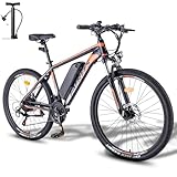 Fafrees 26 Hailong-One [ Offiziell ] E-Bike Damen 26 Zoll mit 36V 13AH Akku, Ebike Herren...
