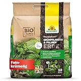 Neudorff NeudoHum Grünpflanzen- & PalmenErde – Torffreie Bio Erde, fördert gesunde...