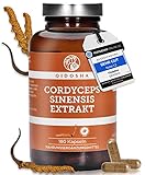 QIDOSHA® Cordyceps sinensis 15:1 Extrakt Kapseln, TESTSIEGER 02/2023*, 180 Stk, 2000mg...