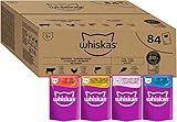 Whiskas Adult 1+ Katzennassfutter Gemischte Auswahl in Gelee, 84 Portionsbeutel, 84x85g (1...