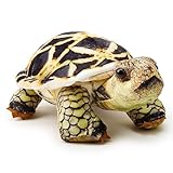 Zappi Co Kinder's Weiches Kuscheliges Plüschtier - Perfekte weiche...