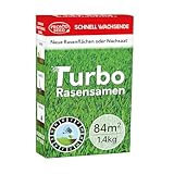 Pronto Seed Rasensamen – 1,4 kg Premium-Qualität, 84 m2 Abdeckung für Nachsaat –...