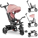 LIONELO Haari 2in1 Dreirad mit Schubstange ab 18 Monate bis 25kg, Vorwärts und...