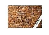 XL Korkrückwand Desert (Rückwand Terrarium) | 3D Kork-Rückwand 60 x 30 cm |...