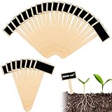 40 Pcs Pflanzschilder Holz Pflanzen Tags Kräuterschilder Umweltfreundliche Gartenschilder...