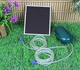 Wehmann Solar Teichbelüfter Power Doppelpumpe 200 l pro Std. Teichbelüfter für Tag und...