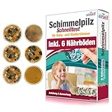 Schimmeltest für Baby- und Kinderzimmer – Schimmel Test zur Bestimmung der...
