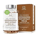 Ashwagandha KSM-66 1000mg mit Magnesium Zink hochdosiert Vitamin B1 Vitamin B6...