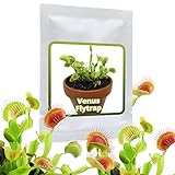Venusfliegenfalle - ca. 20 Samen - Dionaea muscipula - fleischfressende Pflanze...