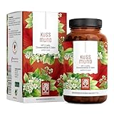 L-Lysin 1000 mg hochdosiert - L-Lysin Komplex mit Zitronenmelisse und Selen –...