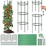 Tomaten Rankhilfe, Gurken Rankhilfe Verstellbarer Höhe, Rankhilfe Hochbeet,...