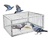 Taubenfalle Käfig mit ausbruchsicherem Design - Auto Vogelfalle Käfig für Tauben und...