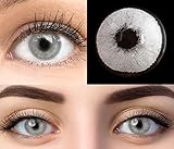 GLAMLENS Pisa Gray Grau + Behälter | Sehr stark deckende natürliche graue...