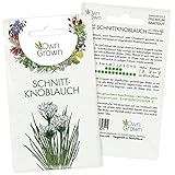 Schnittknoblauch Samen mehrjährig: Schnittknoblauch Pflanze zur Anzucht von 100 Kräuter...