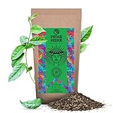 Pachamama Guayusa Tee Pure 500g | Bio Ilex Guayusa aus Ecuador | Schwester von Yerba Mate...