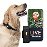 PAJ GPS Tracker für Hunde - 4G - Weglaufalarme + weltweite Live-Ortung - bis zu...