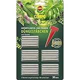 COMPO Grünpflanzen- und Palmen Düngestäbchen mit Guano, Dünger mit 3 Monaten...