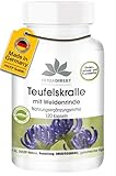 Teufelskralle Kapseln - mit Weidenrinde - 900mg Teufelskrallenextrakt pro...