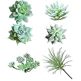 Soviton Mini Sukkulenten, künstliche Sukkulenten, unbepflanzt in grünem...