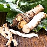 samen heilkräuter gemüsesamen ausgefallene gewächshaus gartenpflanzen gewürze alte...