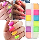 Glitzer für Nägel Pigmente Nägel Neon 12 Farben Nagel Pigment Pulver...