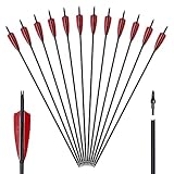 Huntingdoor 12er Carbonpfeile mit Naturfeder 30” Pfeile für Bogenschießen Erwachsene...