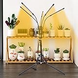 Hanmorfarbi FüNf-Kopf-Stand Boden FüLlen Licht, Pflanze Wachsen Licht,...