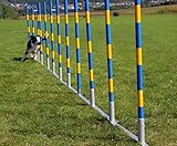 Callieway Orig Agility Slalom, TRICHTERSLALOM®, Gassenslalom, Agility Channel...